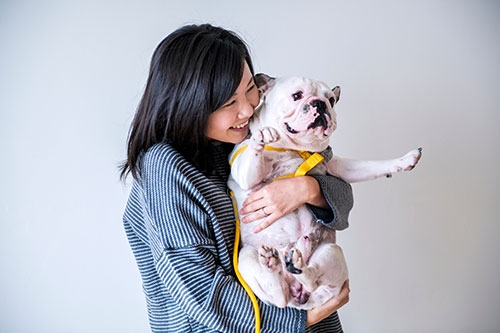 可愛扁臉狗的健康隱憂-短吻犬症候群是什麼-短鼻犬的健康檢查與照顧貼士